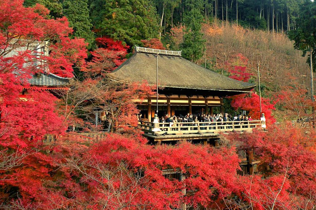 Zen Kyoto Kinkaku-Ji Temple Villa Luaran gambar